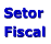 Setor Fiscal